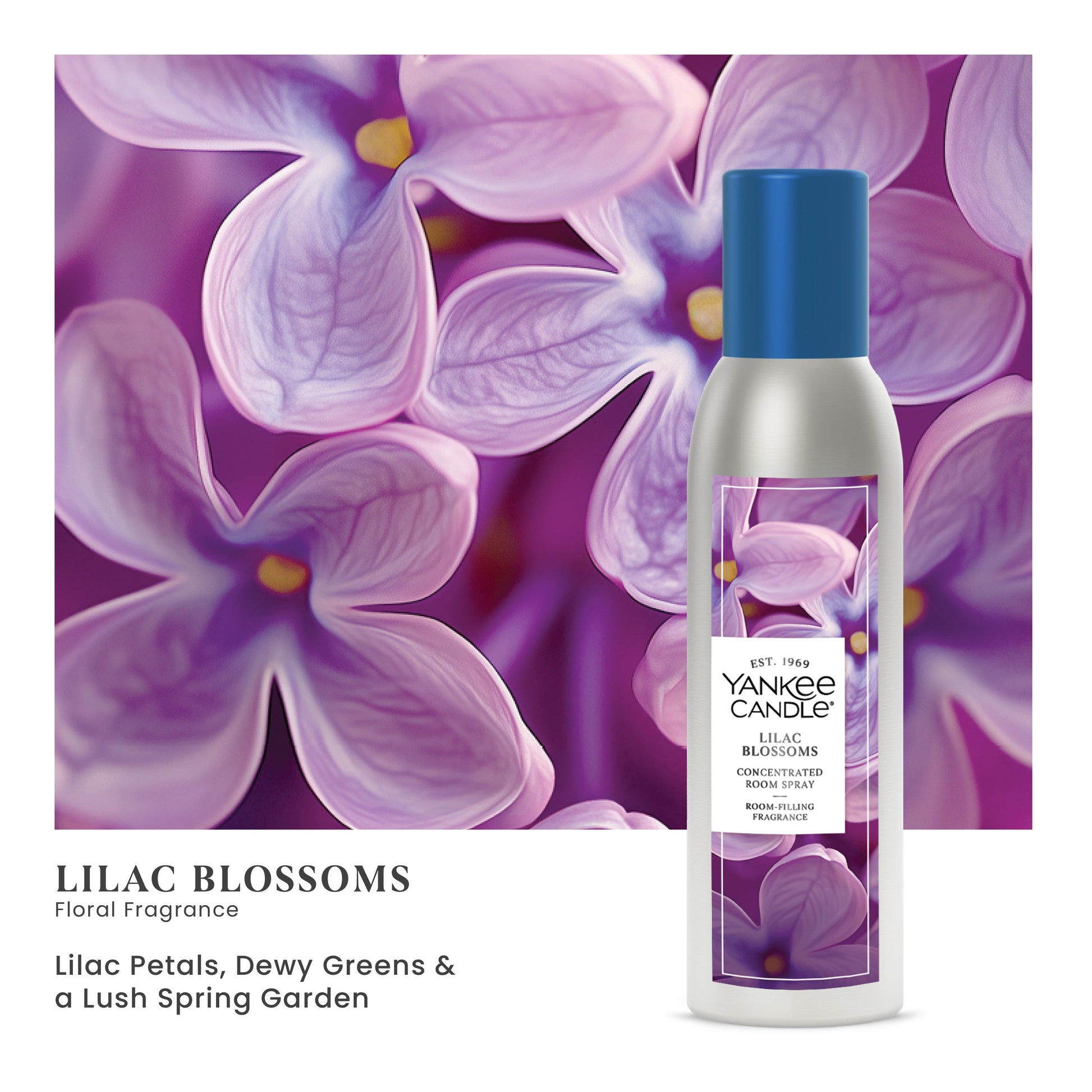 Lilac Blossoms
