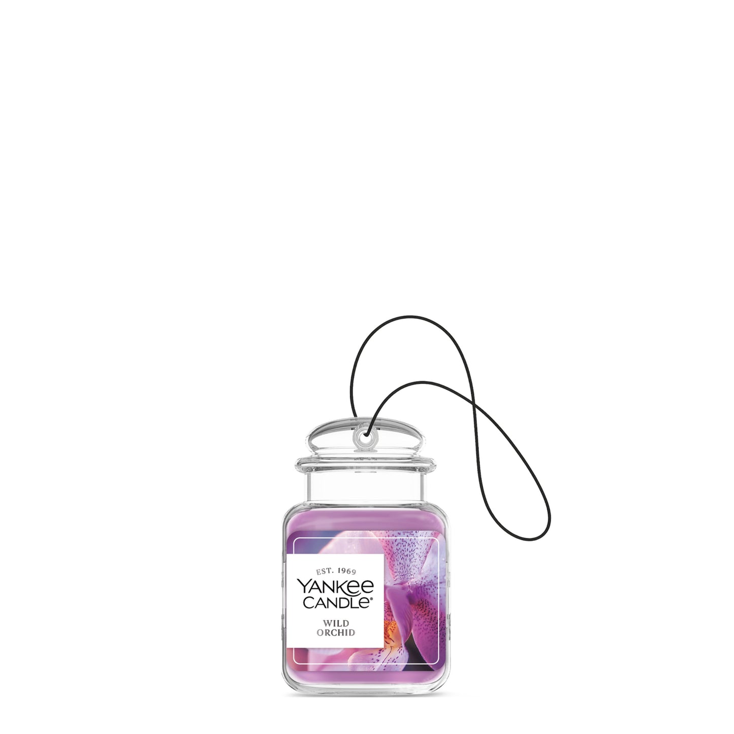 Wild Orchid Daily 10-0128