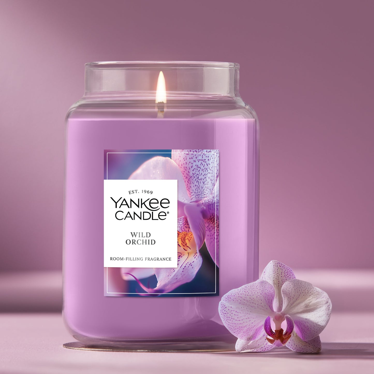 Wild Orchid