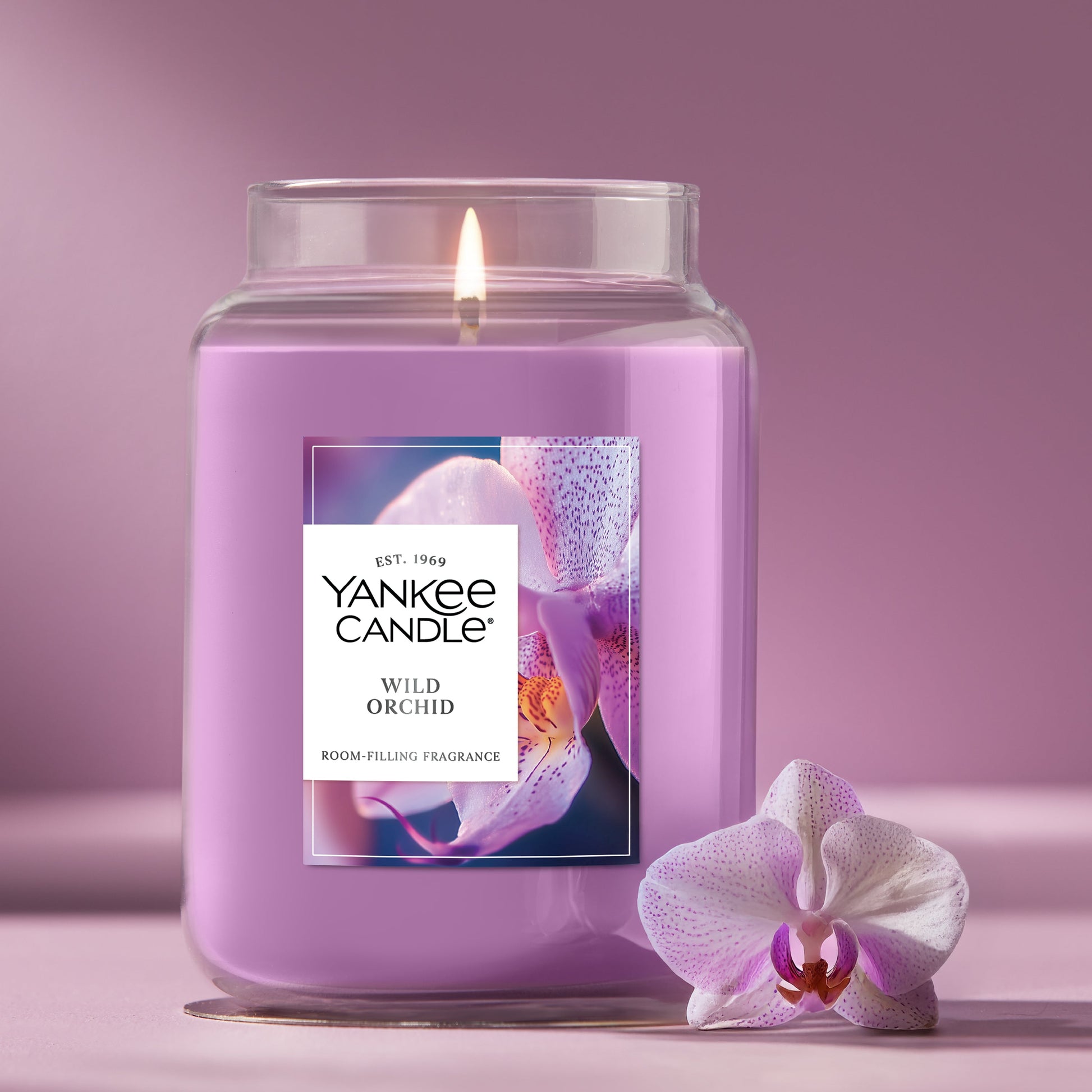 Wild Orchid
