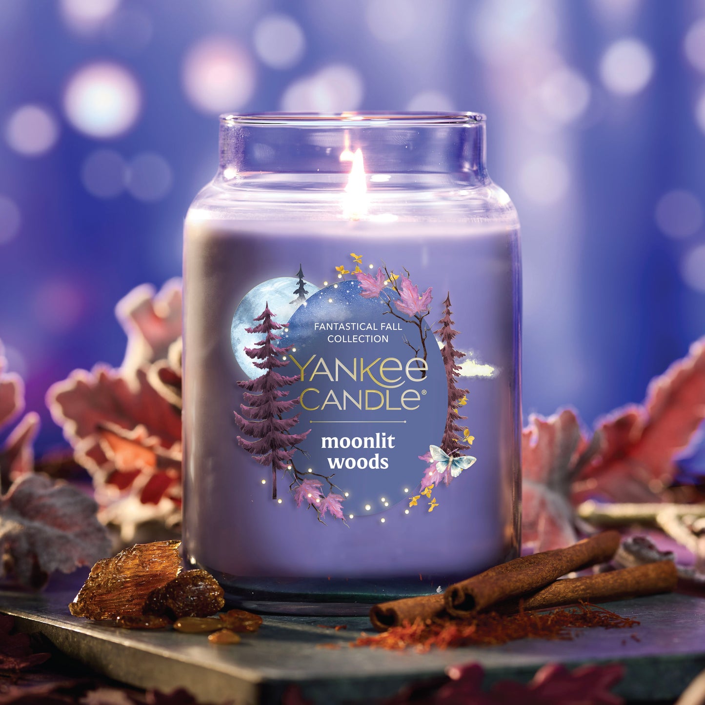 https://yankeecandle.imgix.net/2170fa1a-c099-35ff-9246-01a56d3059d0/2170fa1a-c099-35ff-9246-01a56d3059d0.jpg