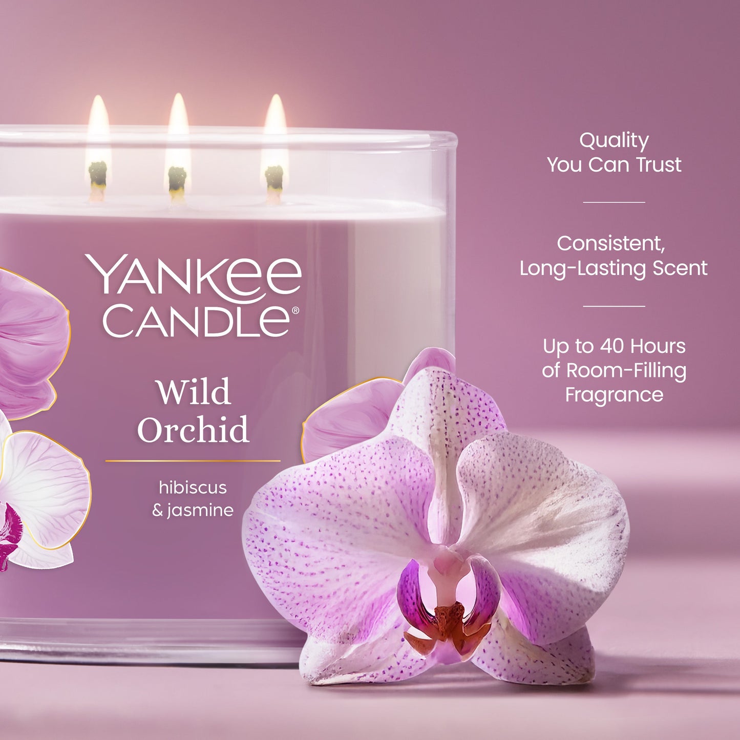 Wild Orchid