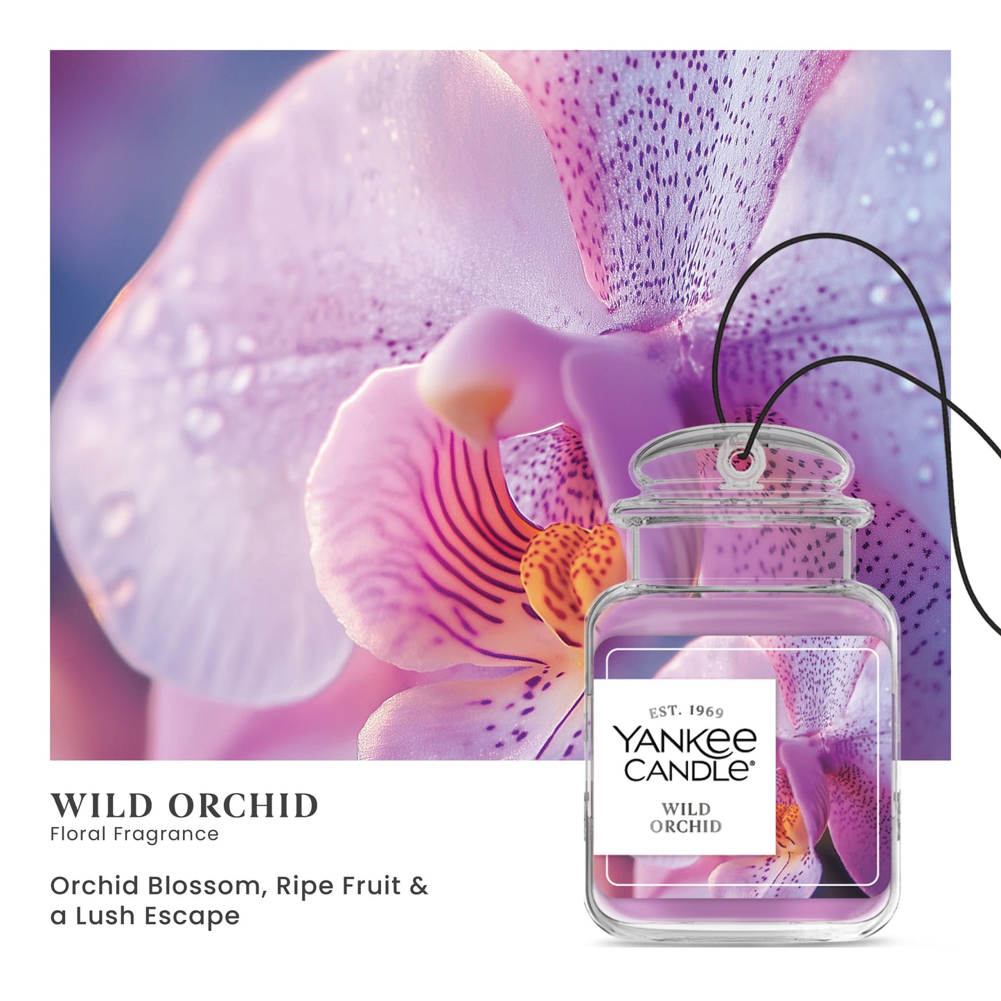 Wild Orchid