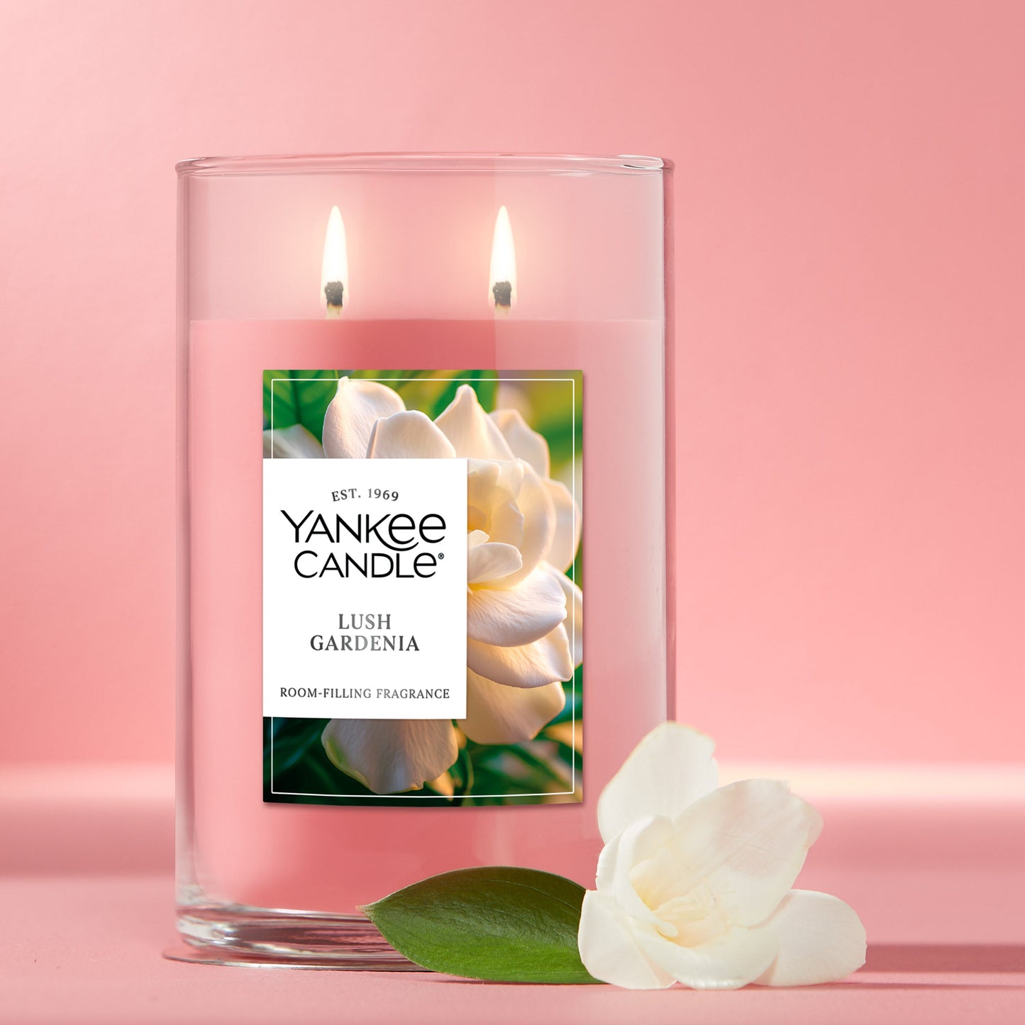 Lush Gardenia