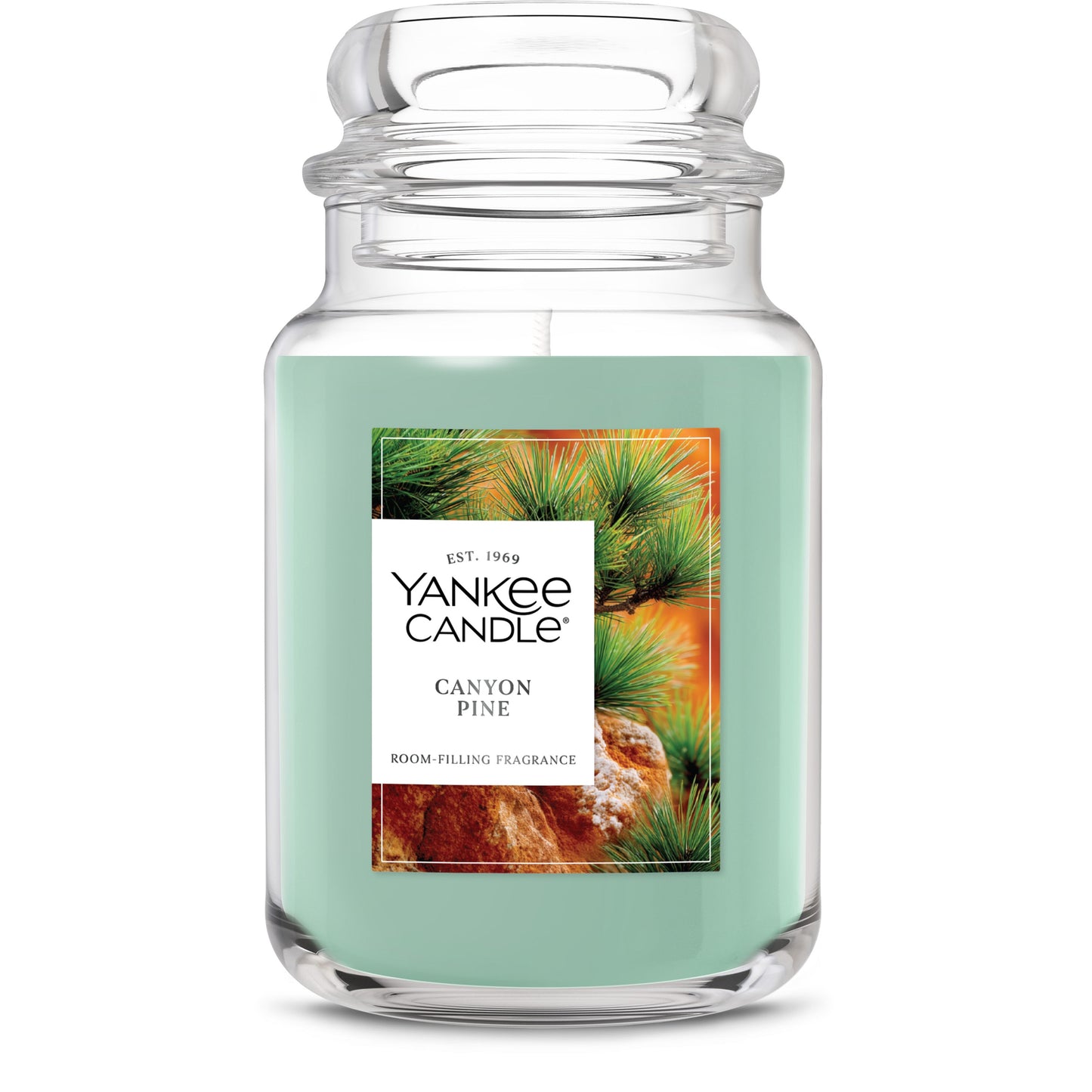 Canyon Pine Daily 10-0408