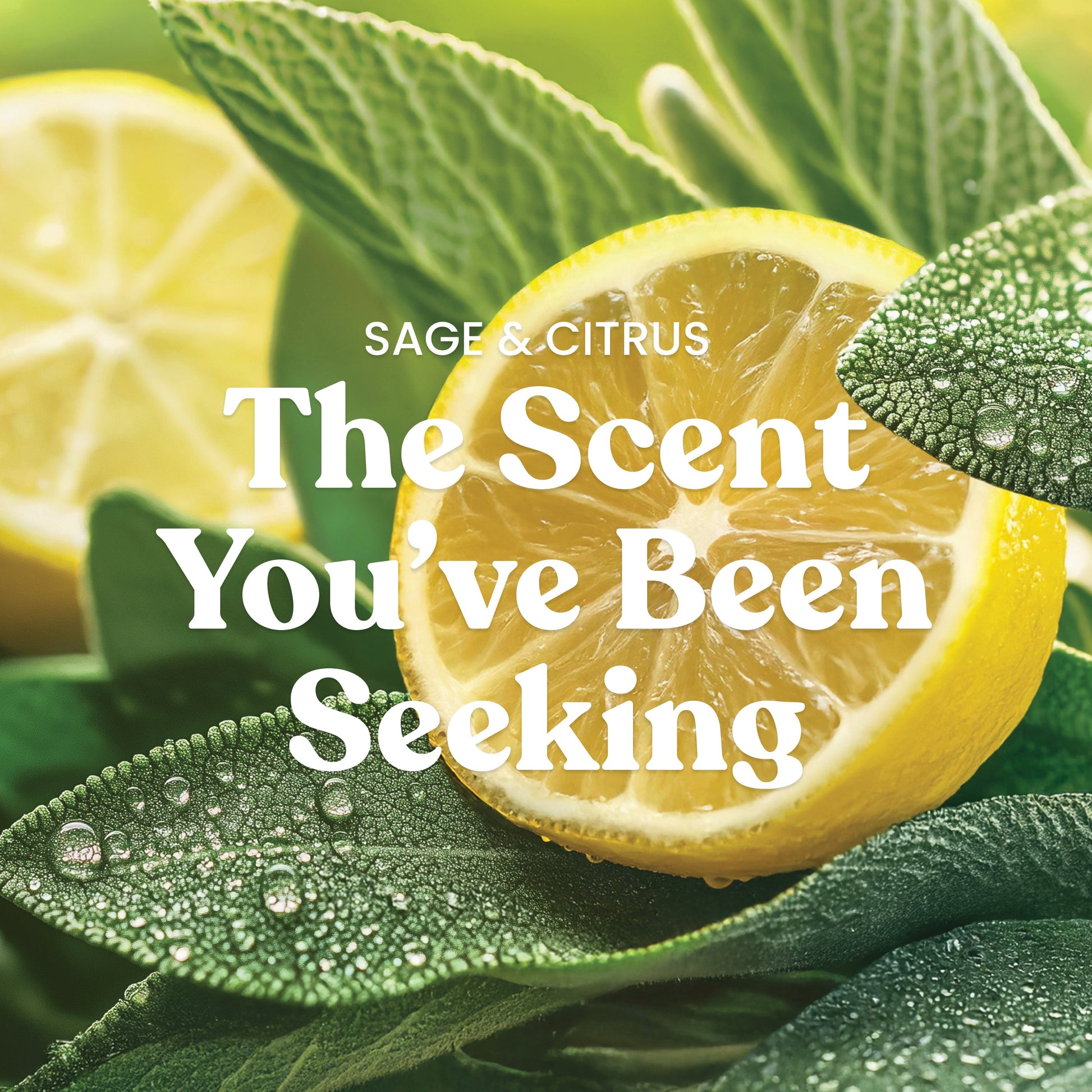 Sage & Citrus