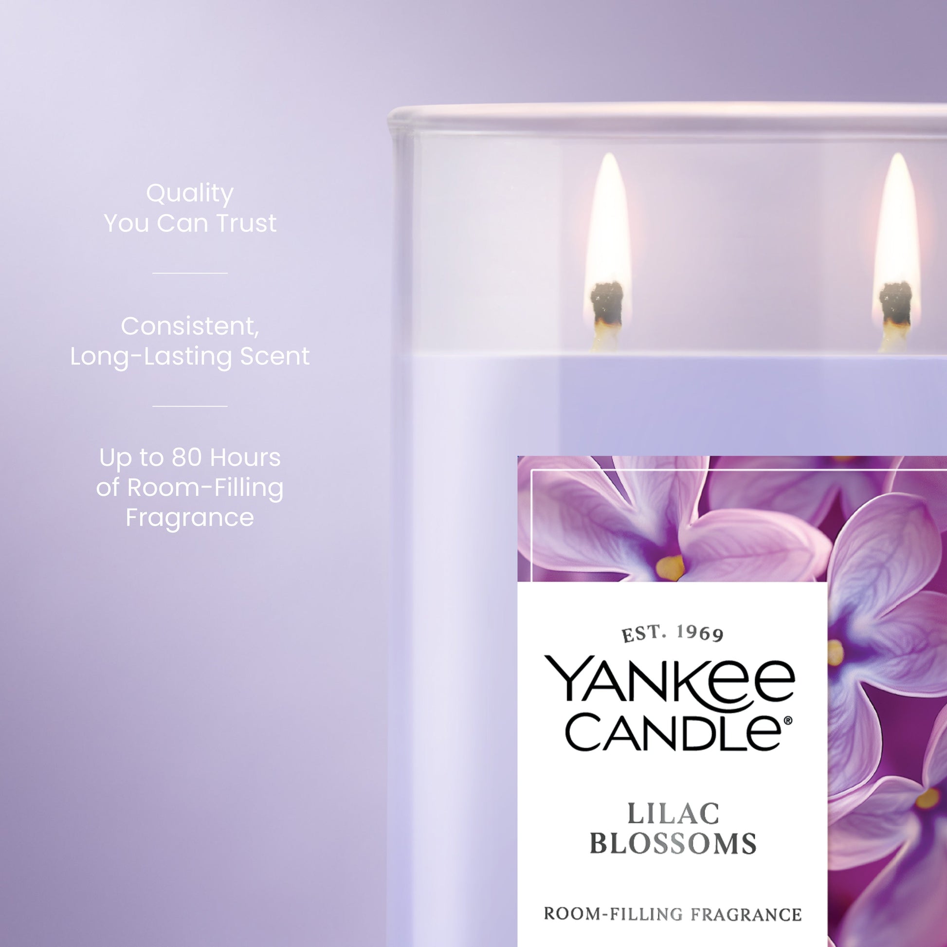 Lilac Blossoms