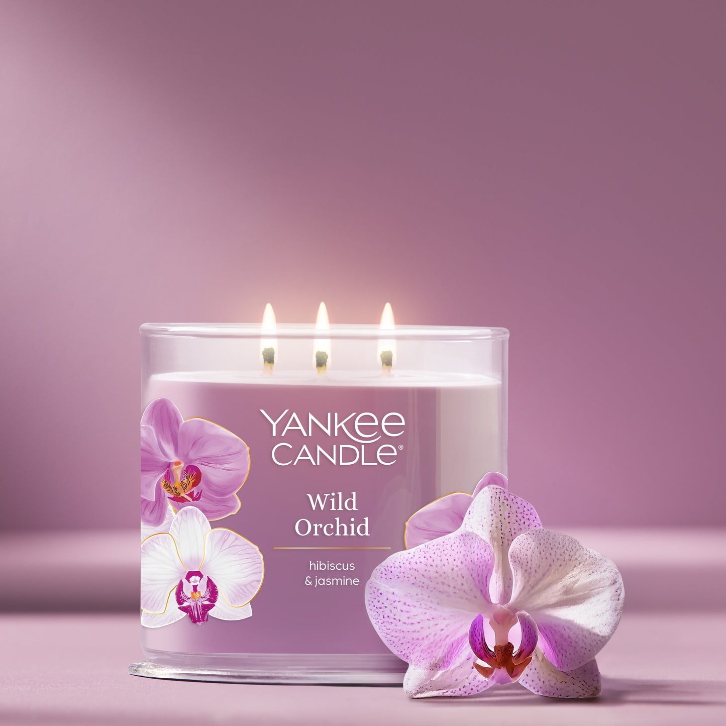 Wild Orchid