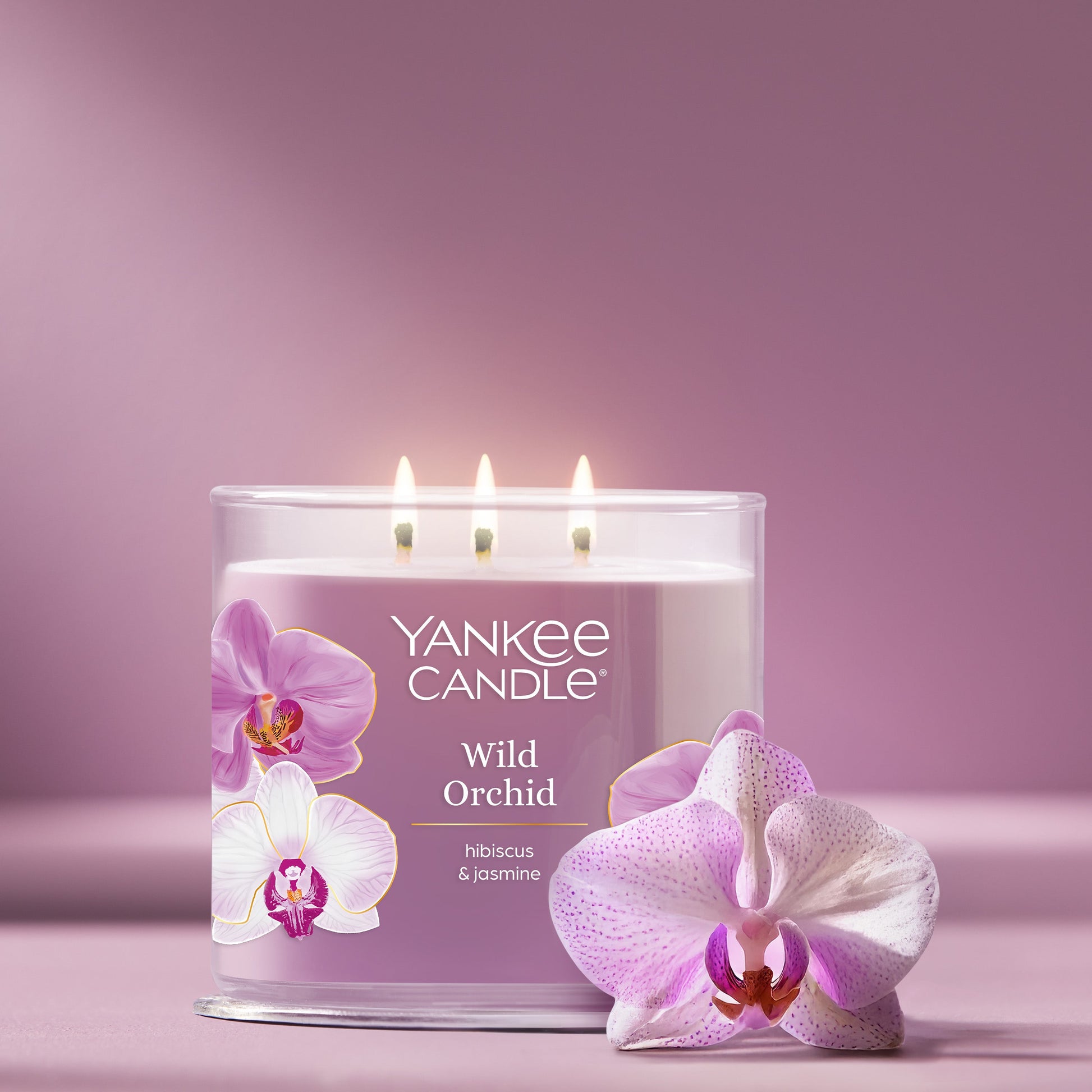 Wild Orchid