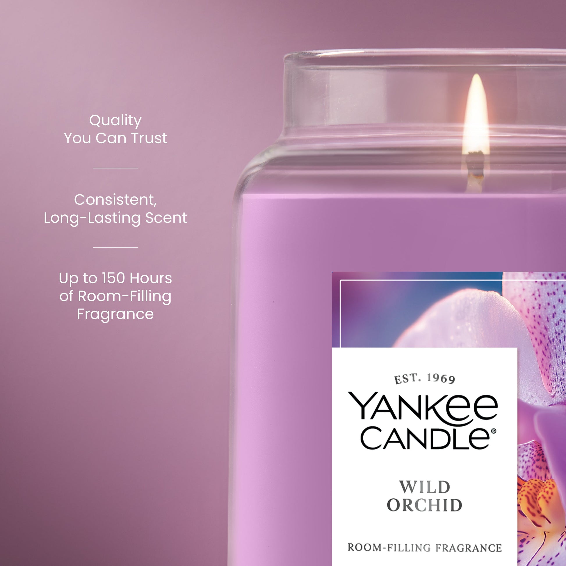 Wild Orchid