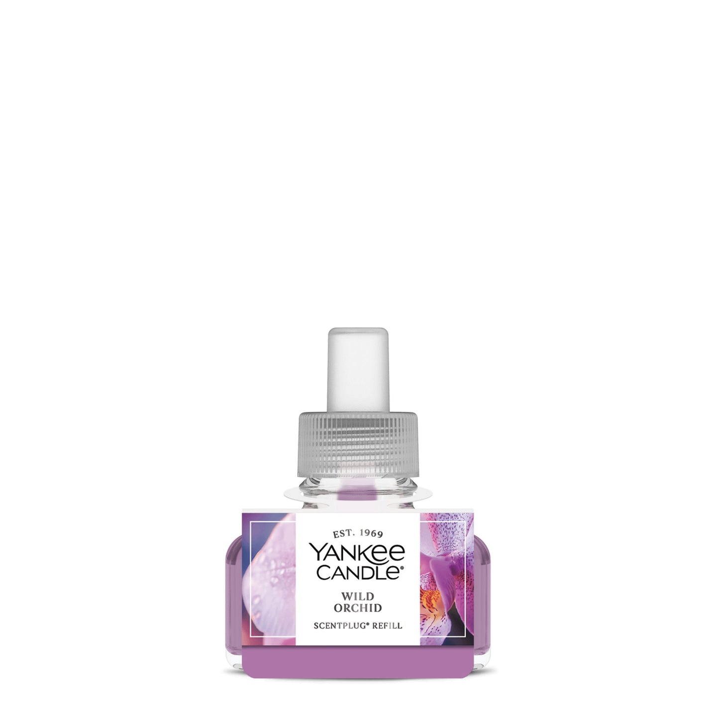 Wild Orchid Daily 10-0128