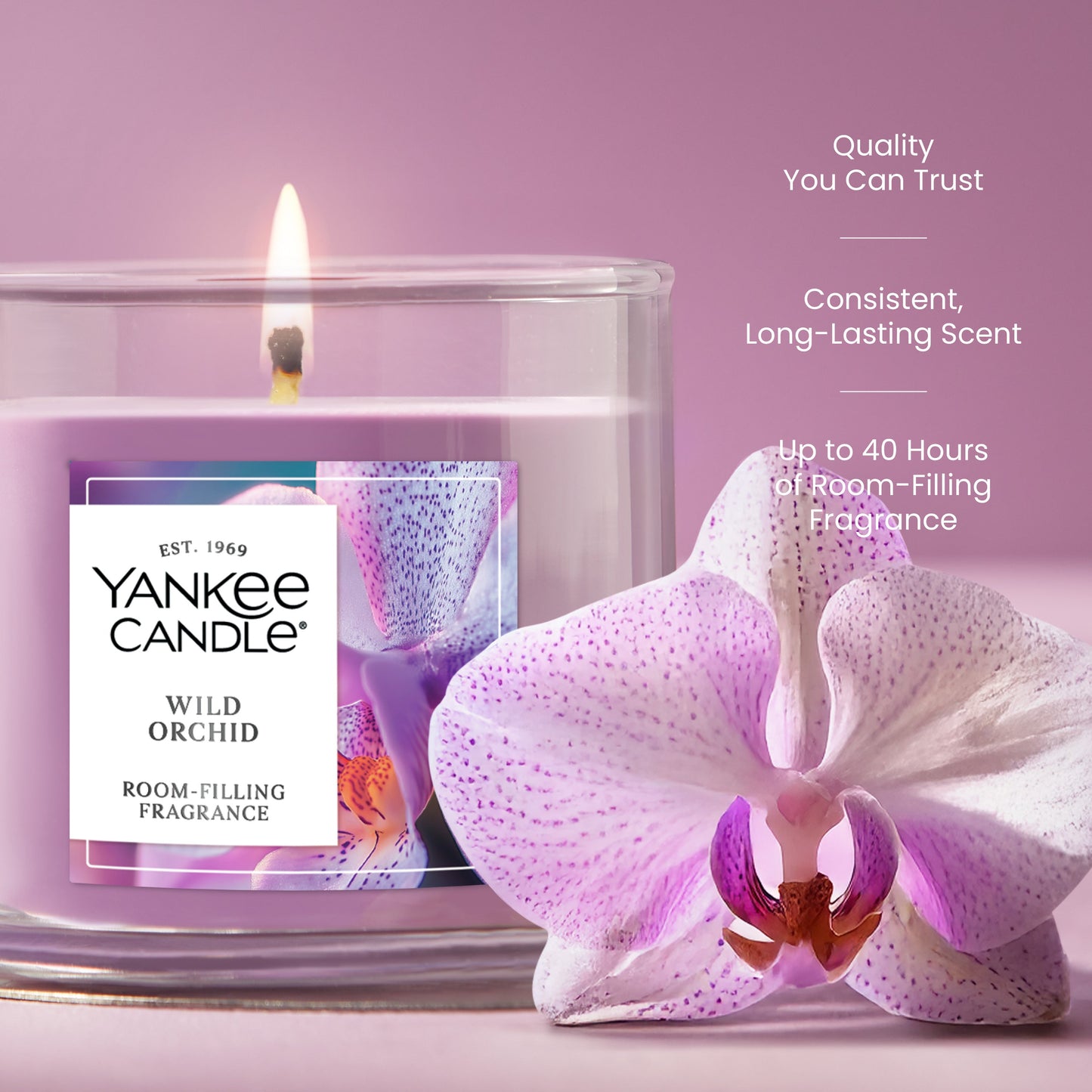 Wild Orchid
