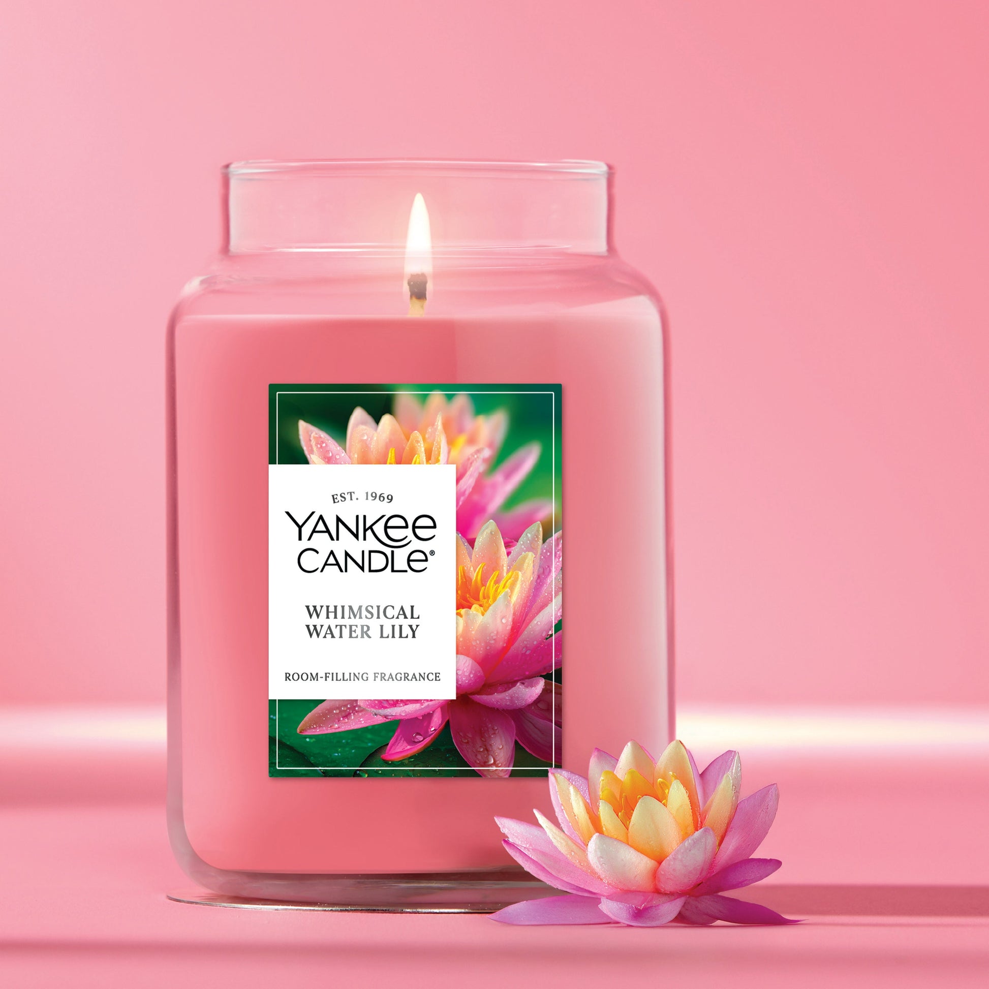 Whimsical Water Lily