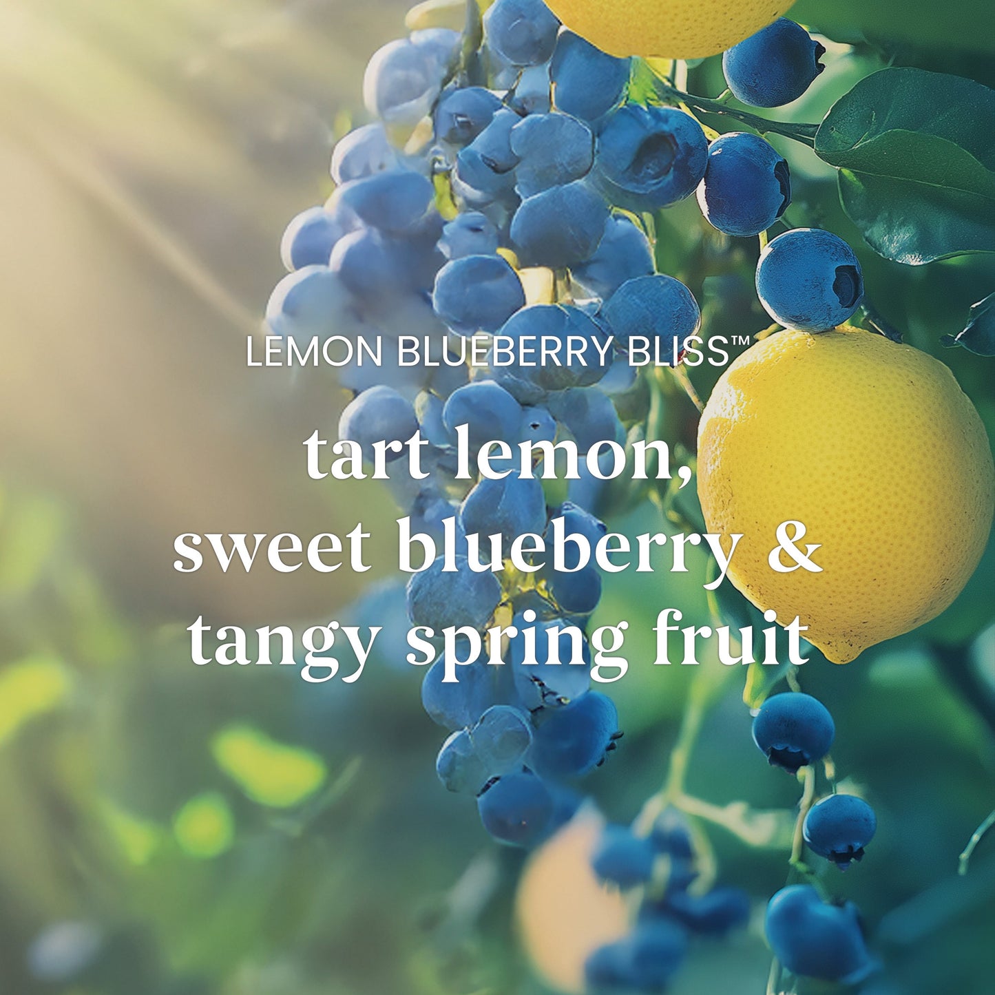 Lemon Blueberry Bliss