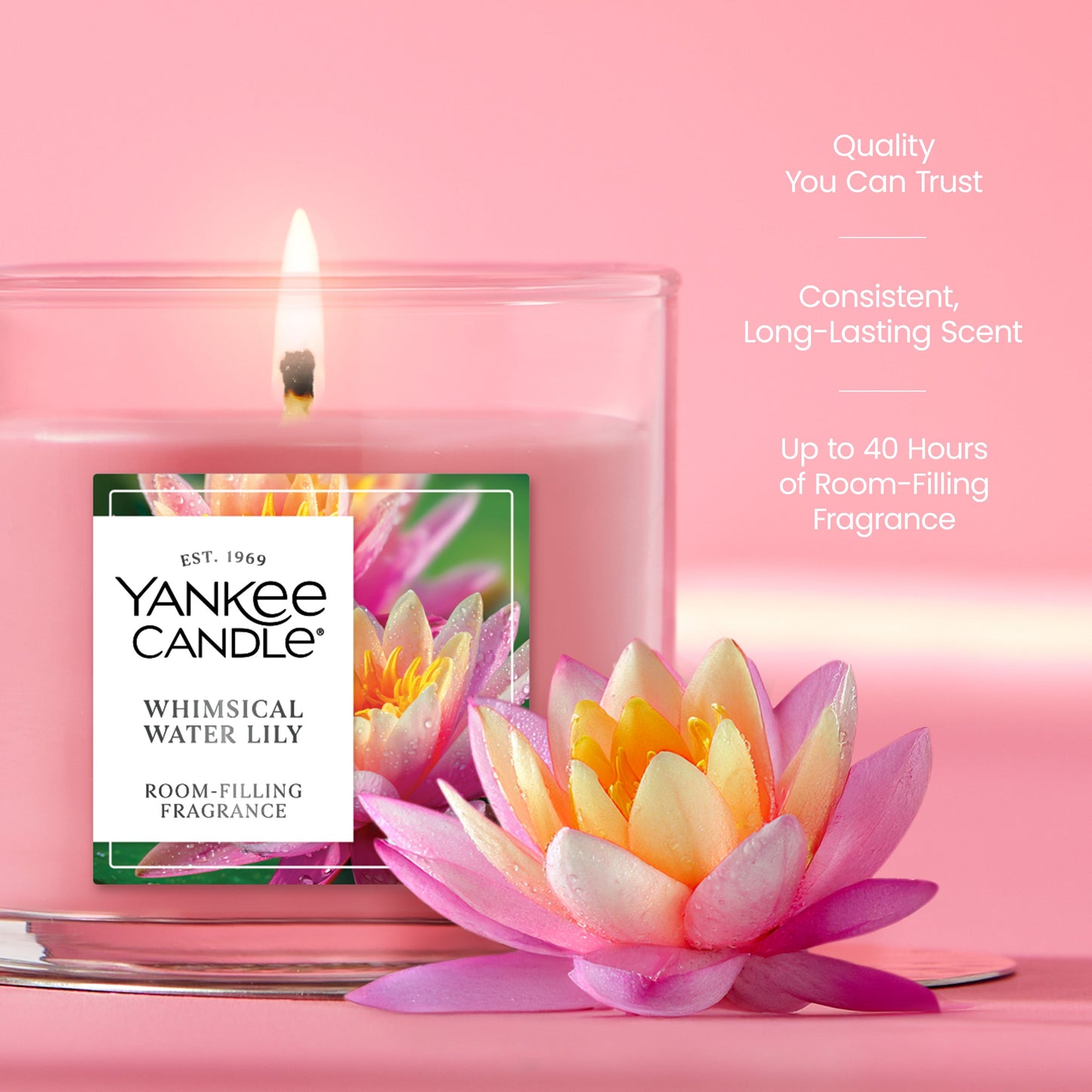 Whimsical Water Lily