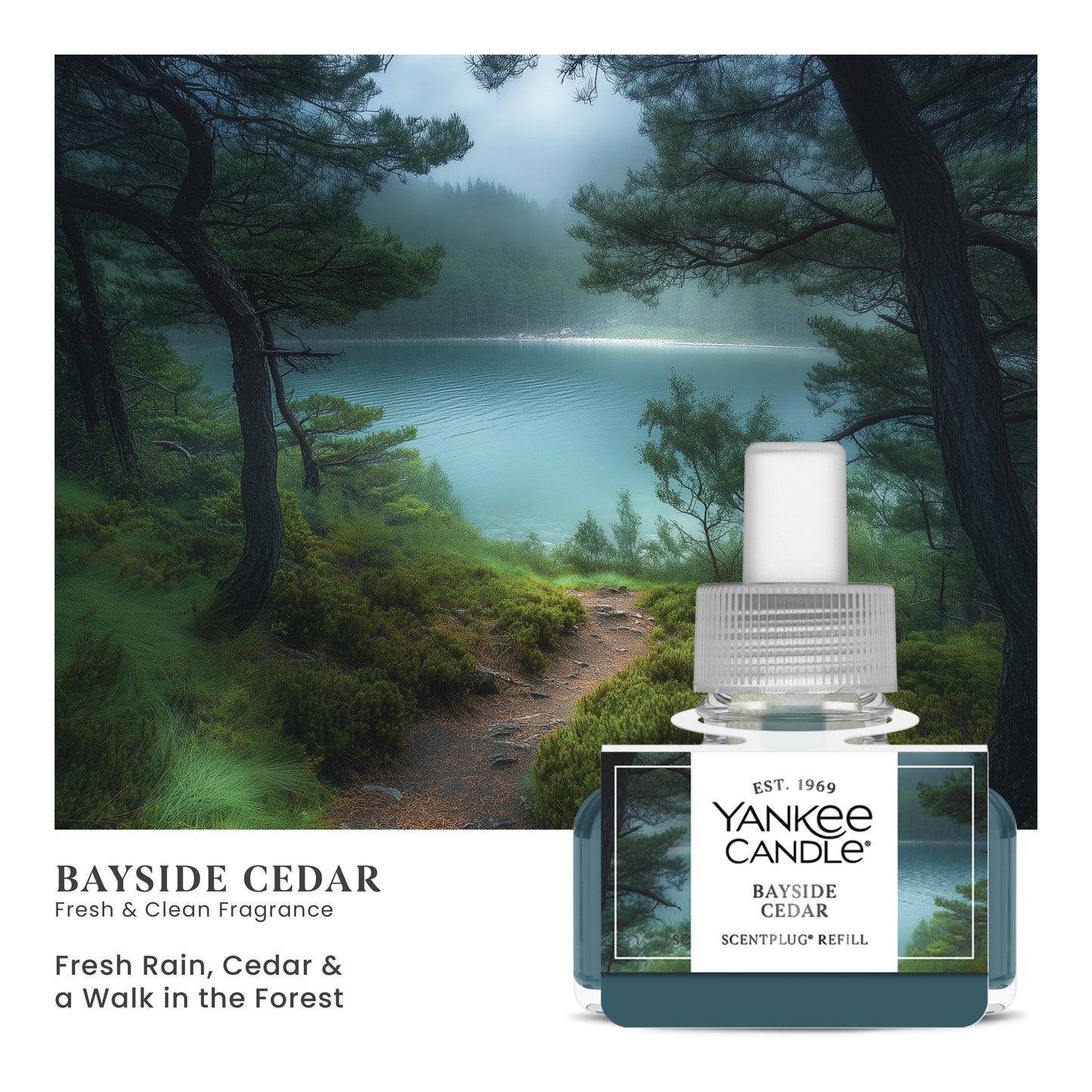 Bayside Cedar