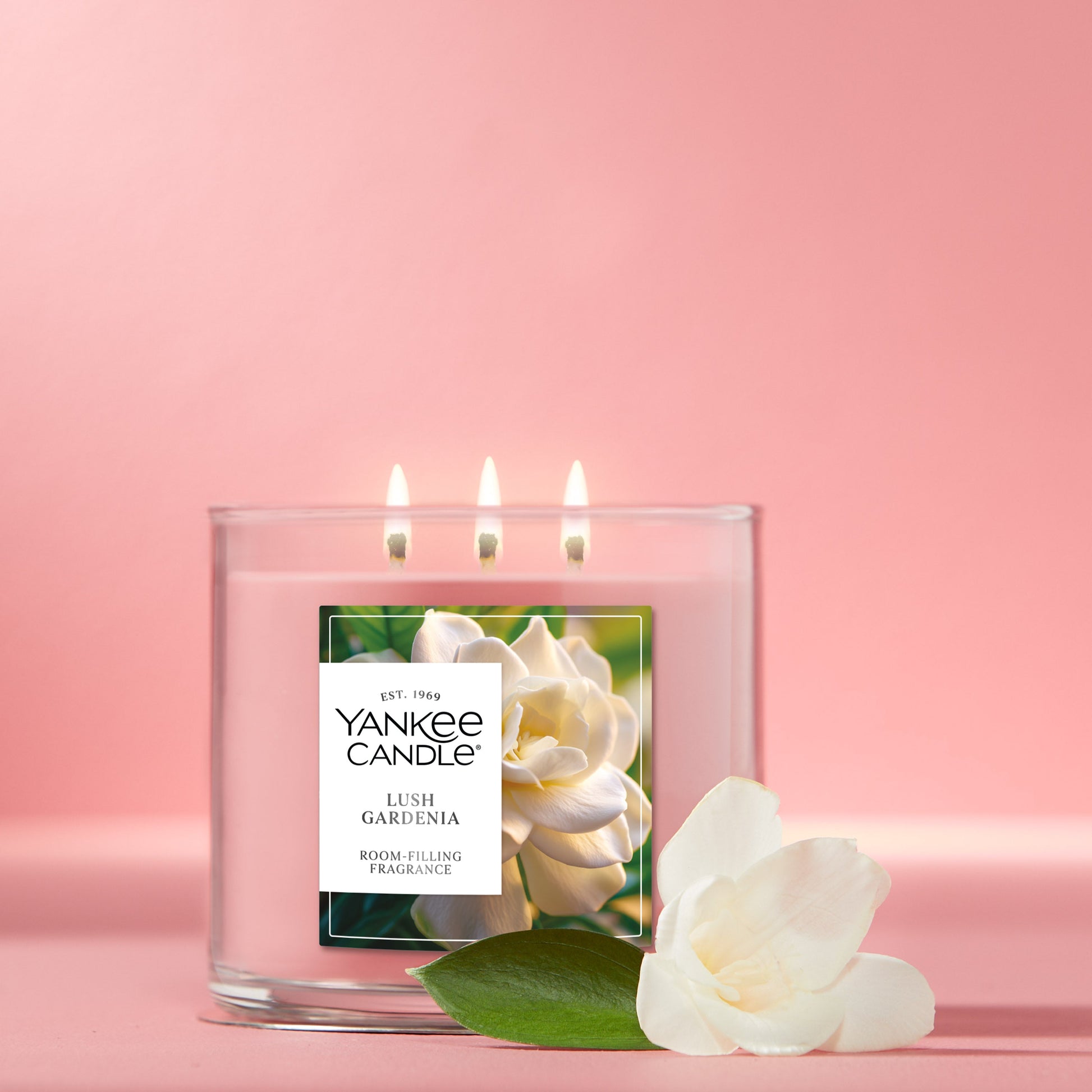 Lush Gardenia