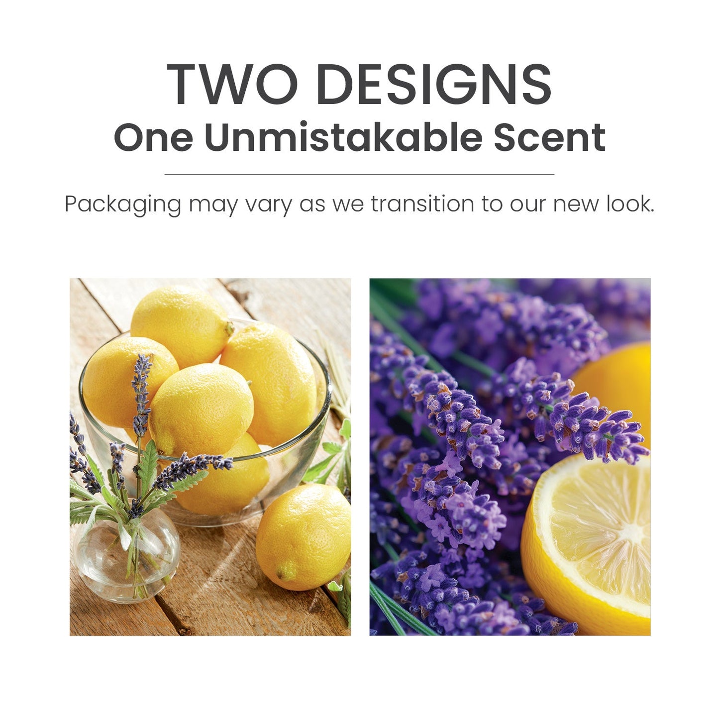 Lemon Lavender