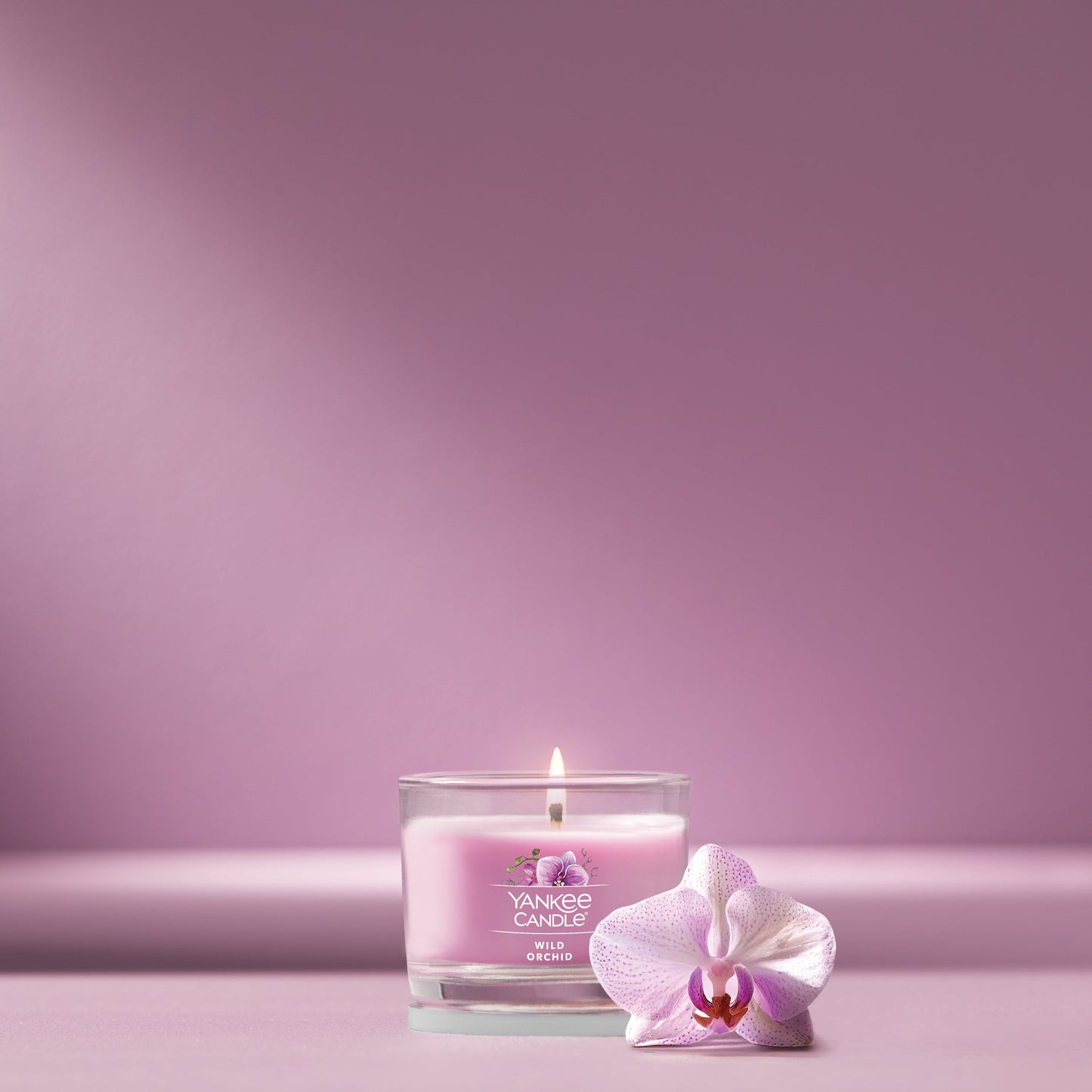 Wild Orchid