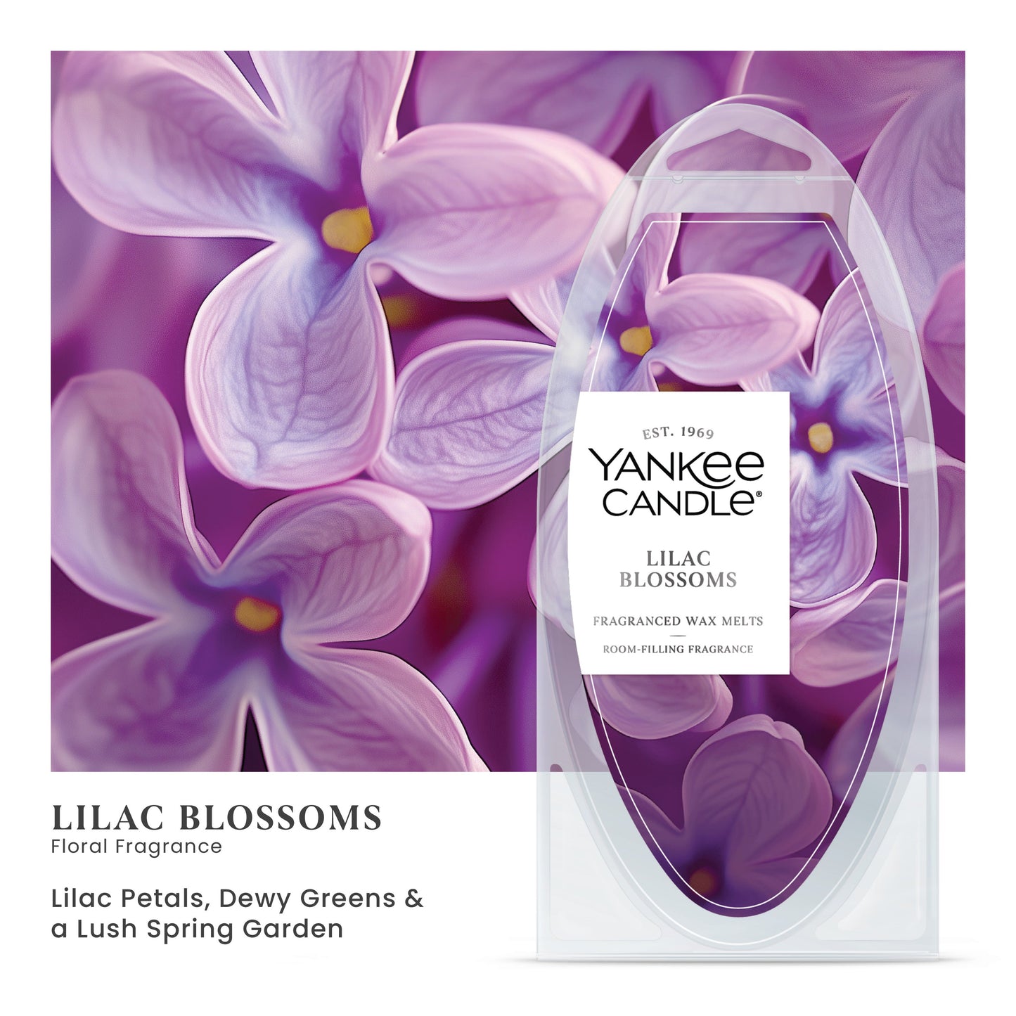 Lilac Blossoms